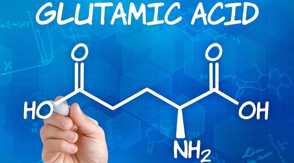  Axit Glutamic: Vài trò và ứng dụng trong cuộc sống